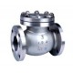 Check Valve