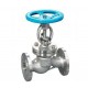 Globe Valve