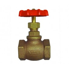 Globe Valve 